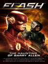 Cover image for Flash
